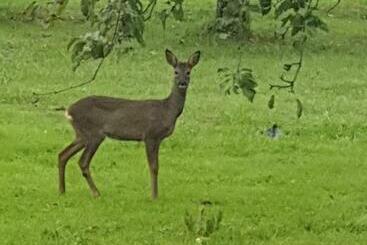 مبيت وإفطار Domaine Mon Doux Rêve