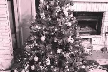 ベッドアンドブレックファースト La Gallina Nel Castello Citr Oo9002 Beb Oo11