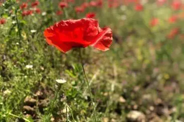 Bed and Breakfast Chambre D’hôtes Vaucluse