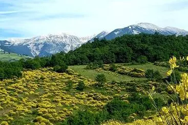 ベッドアンドブレックファースト La Casa Dalle Finestre Blu