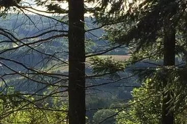 Aamiaismajoitus (B&B) Champ De Foire