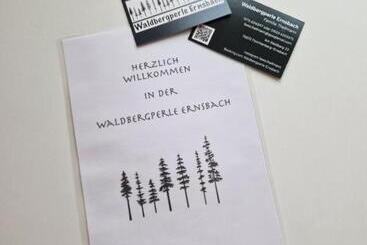 פנסיון Waldbergperle Ernsbach