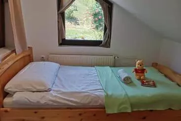 Pensionat Apartma Med Vinogradi