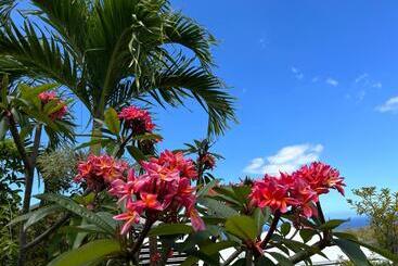 پانسیون Ravine Bleue