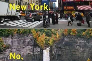 צימר Tillinghast Manor Bed & Brunch