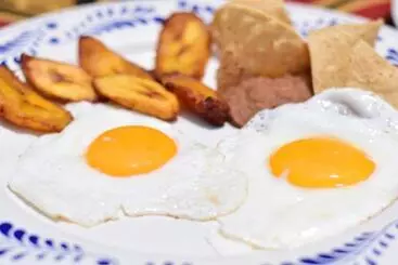 Hôtel Hacienda Morelos Beachfront