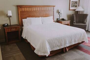 فندق Hampton Inn & Suites Green River