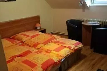 Pensjonat Török Vendégház