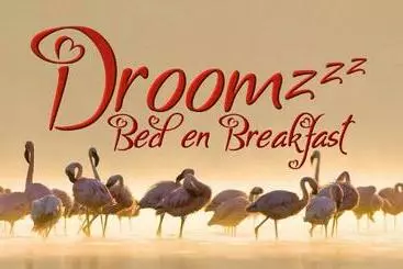 Bed and Breakfast Droomzzz