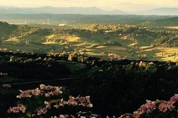 فندق Gasthof Tischlerwirt