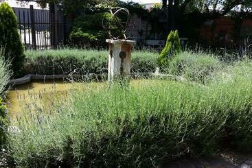 Pension The Yardt Guest House