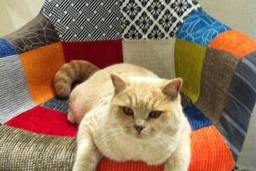 Bed & Breakfast Mas Lou Piastoun