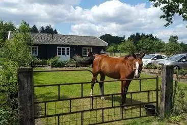 ベッドアンドブレックファースト De Priesnitzhoeve