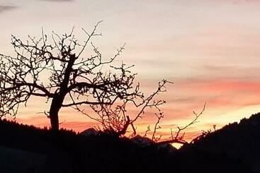 Отель Grubhof Weissenbacher