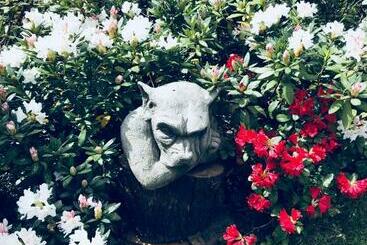 Pensão Haus Am Wald