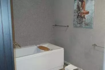 Pensione Hanu Lu Mos Opinca