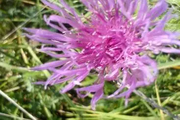 ペンション Mackólak Vendégház és ökoporta