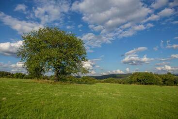 B&b Chez Tante Alice