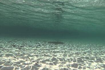 Aparthotel Residence San Vito