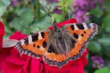 ベッドアンドブレックファースト La Parenthèse