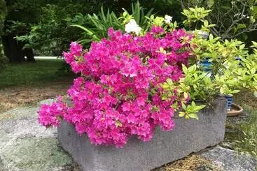 Majatalo Domaine D Aromm