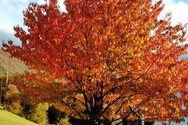 ホテル Agriturismo Casa Del Castagneto