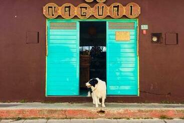Hostel El Nagual