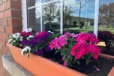 Pension St Martin S, Rosslare Harbour Guest Accommodation