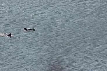 تختخواب و صبحانه Clifden Bay Lodge