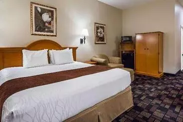 فندق Best Western Longview