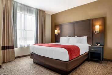 בית מלון כפרי Comfort Inn & Suites Millbrookprattville