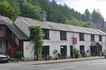 Dragon Bed And Breakfast