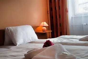 Hotel Ubytování Krušnohor