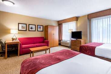 هتل Comfort Suites Wilmington Near Downtown