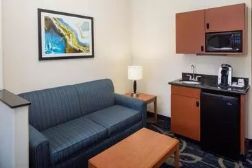 هتل Holiday Inn Express & Suites Midland Loop 250, An Ihg