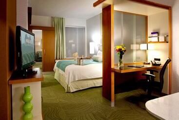 فندق Springhill Suites By Marriott Huntsville Downtown