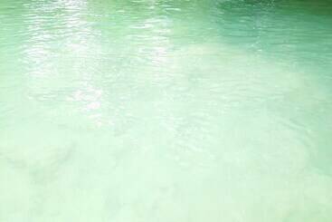 هتل Room In Lodge Sierraverde Cabin Cabaña El Cedro