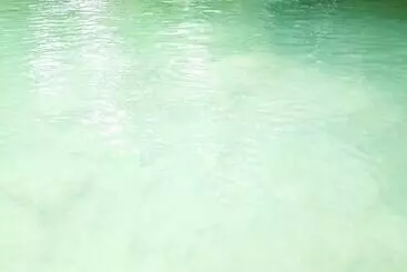 Hotelli Room In Lodge   Sierraverde Cabin Cabaña El Cedro