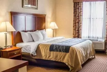 ホテル Comfort Inn & Suites Kent University Area