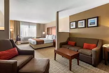 ホテル Comfort Inn & Suites Murrieta Temecula Wine Country