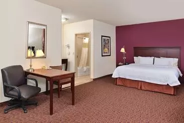 ホテル Hampton Inn & Suites Muncie