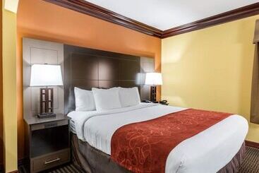 فندق Comfort Suites Lake Jackson Clute