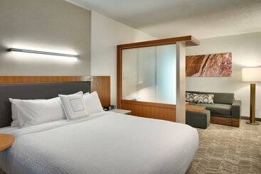 公寓式酒店  Springhill Suites By Marriott Vernal