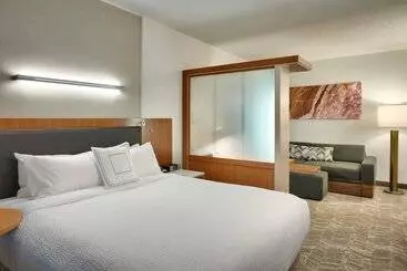 Апарт-отель Springhill Suites By Marriott Vernal