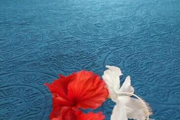 The Sunsetter Bed & Breakfast