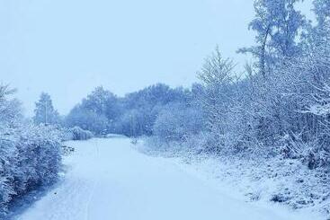 Killeröd Boutique Apartments