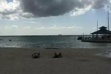 Huoneistohotelli Terraza Del Caribe