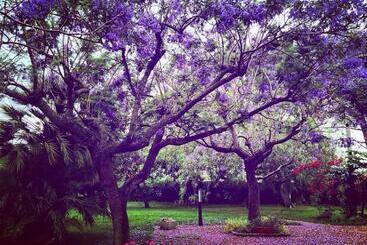 Bed and Breakfast La Quercia
