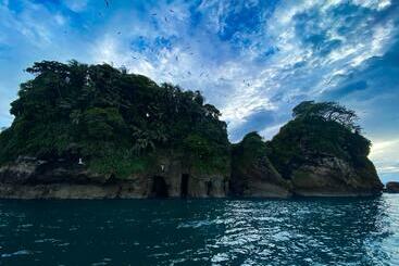 Bed and Breakfast Room Isla Colón