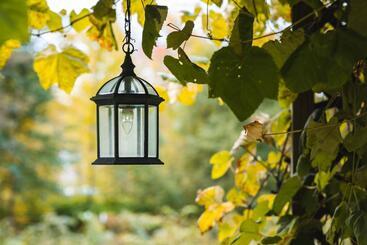 הוסטל The Village Inn